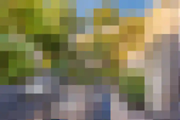 Zevensprong 63 Best thumbnail 46