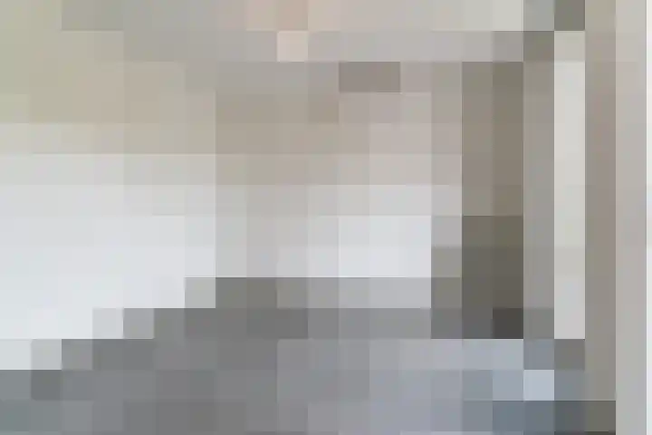Zicht 12 Gemonde thumbnail 12