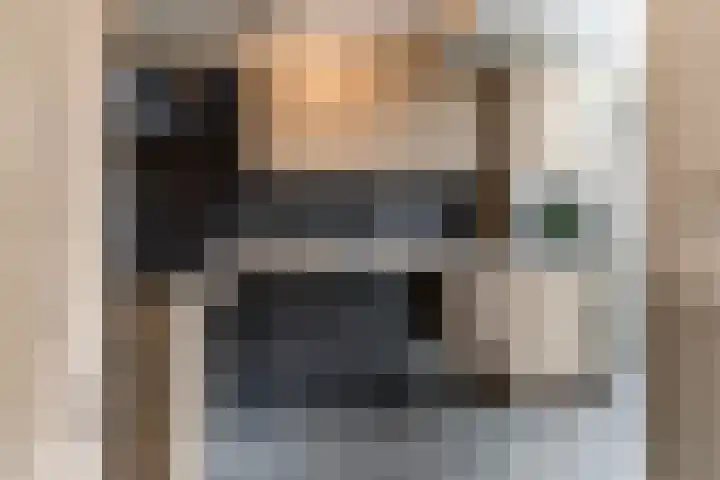 Zicht 12 Gemonde thumbnail 8