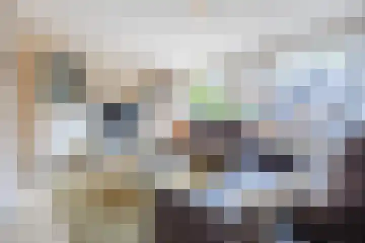 Zicht 26 Breda thumbnail 11