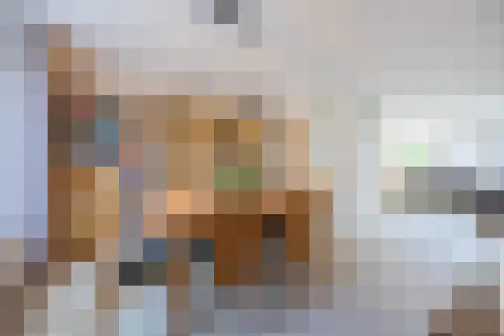 Zicht 26 Breda thumbnail 12
