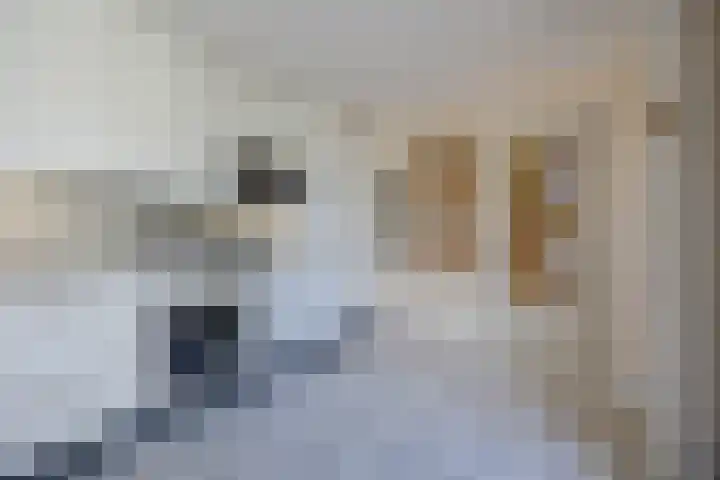 Zicht 26 Breda thumbnail 15