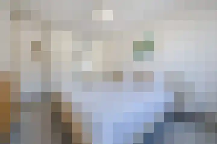 Zicht 26 Breda thumbnail 23