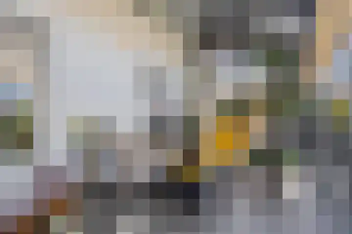Zicht 26 Breda thumbnail 28