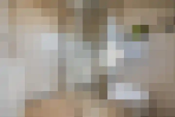 Zicht 26 Breda thumbnail 28