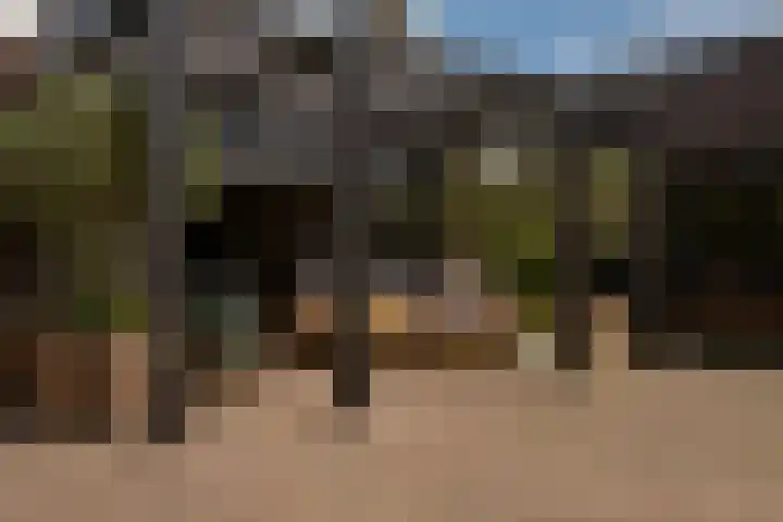 Zicht 26 Breda thumbnail 29