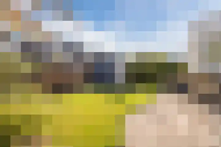 Zicht 26 Breda thumbnail 36