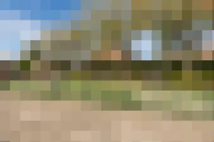 Zicht 26 Breda thumbnail 44