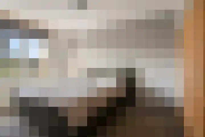 Zicht 5 Maarheeze thumbnail 18