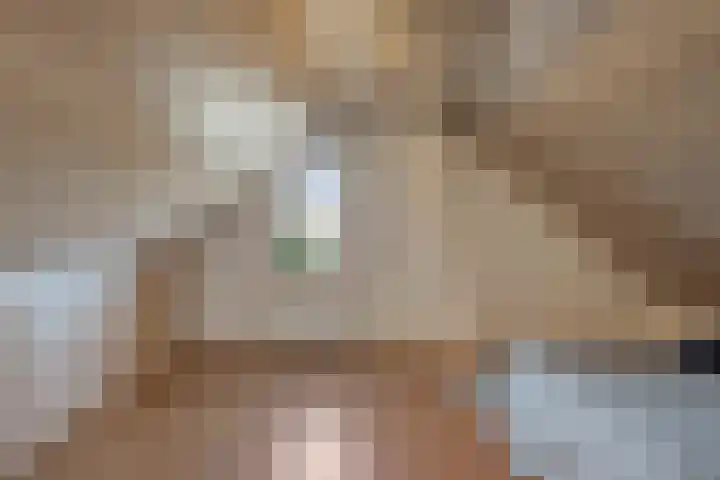 Zicht 5 Maarheeze thumbnail 24