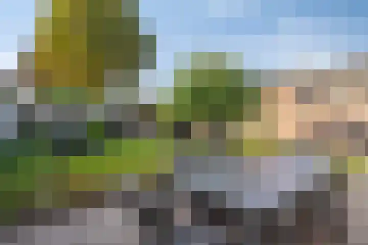 Zicht 5 Maarheeze thumbnail 26