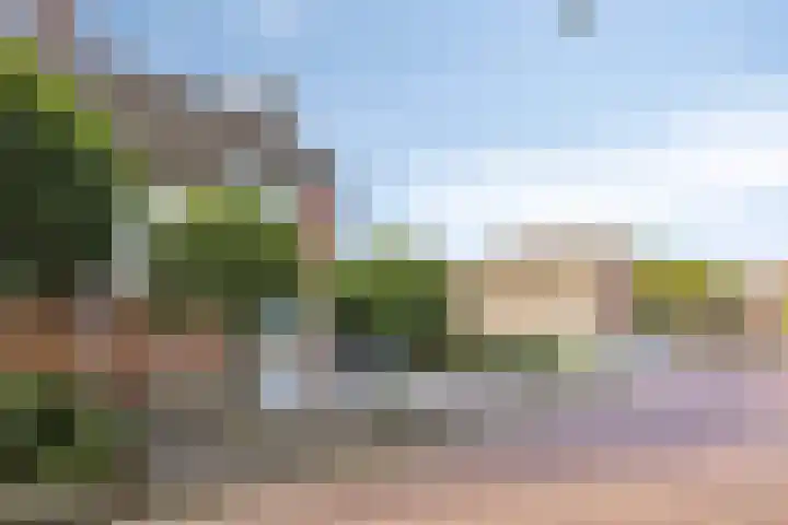Zicht 5 Maarheeze thumbnail 30