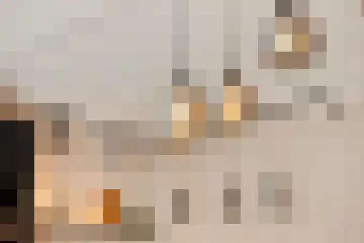 Zicht 6 Berghem thumbnail 23