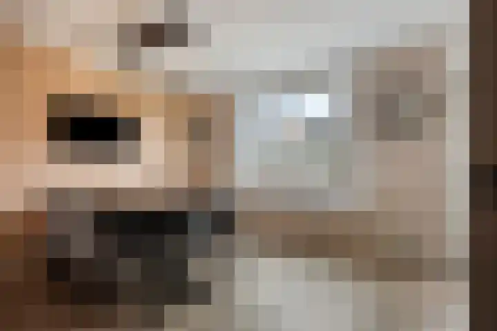 Zicht 6 Berghem thumbnail 28