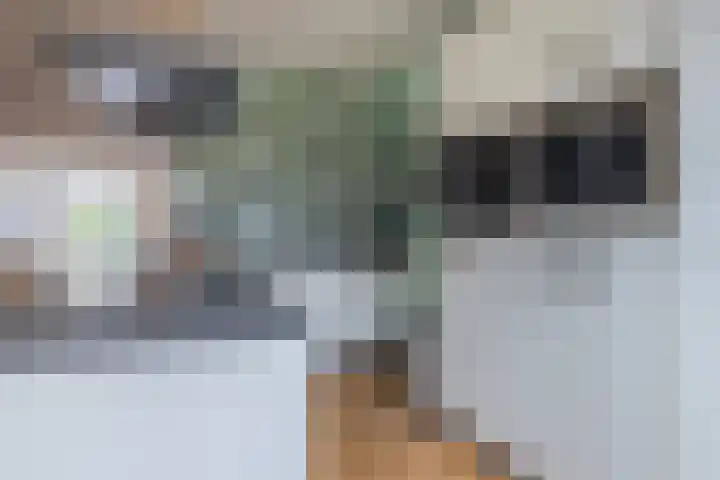 Zichtakker 21 Arnhem thumbnail 13