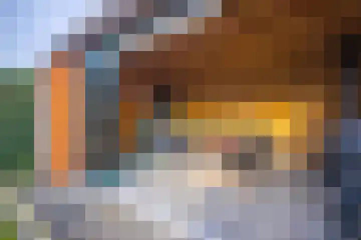 Zichtakker 21 Arnhem thumbnail 27