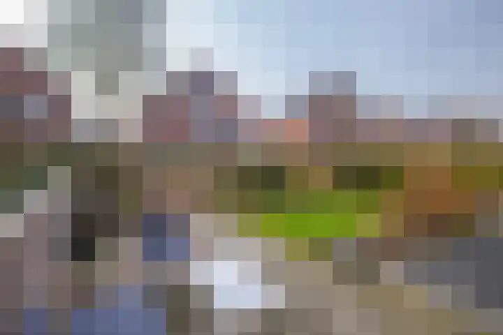 Zichtakker 21 Arnhem thumbnail 29