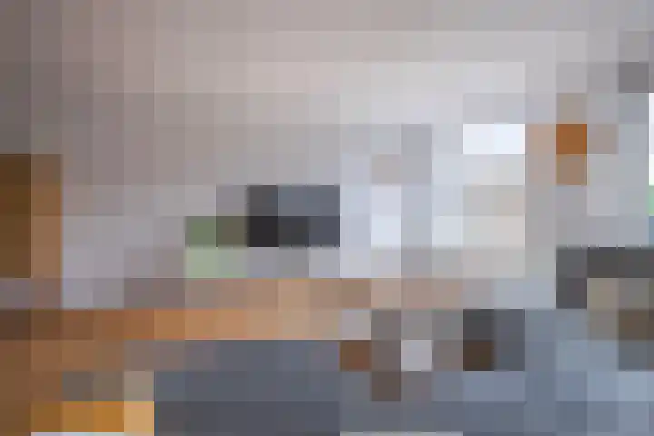 Zichtakker 21 Arnhem thumbnail 8