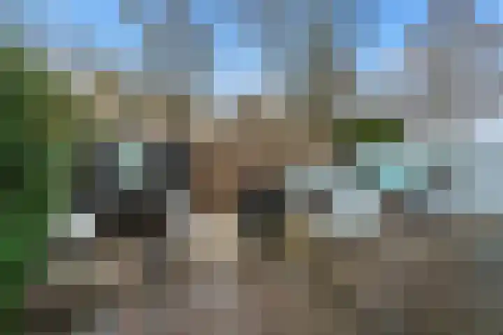 Zichtveld 14 Houten thumbnail 15