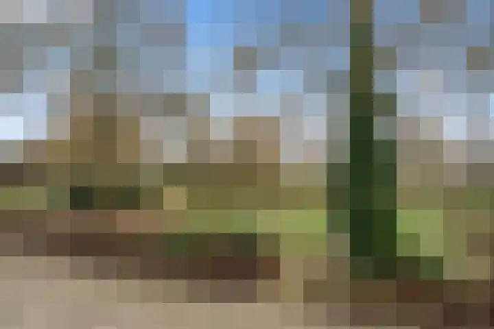 Zichtveld 14 Houten thumbnail 24