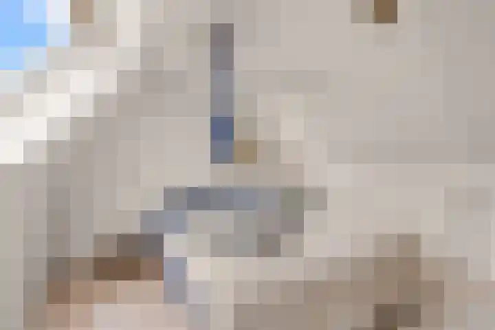 Zichtveld 14 Houten thumbnail 29