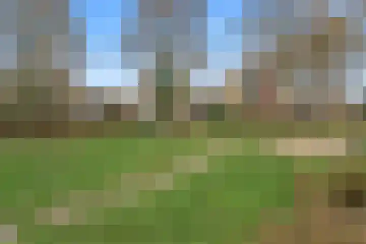 Zichtveld 14 Houten thumbnail 36