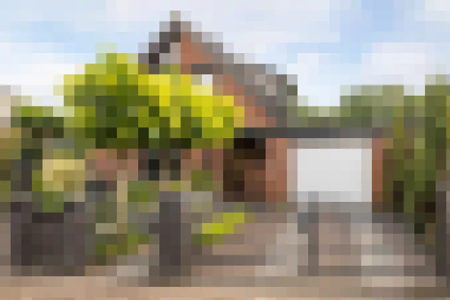 Zichtweg 7 in Elspeet