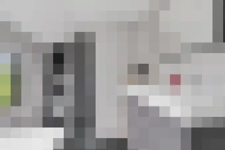 Ziepseweg 74 Didam thumbnail 20