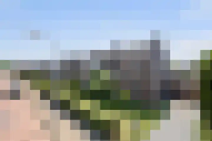 Ziepseweg 74 Didam thumbnail 27
