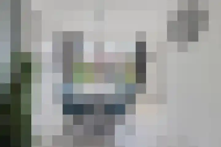 Ziepseweg 74 Didam thumbnail 6
