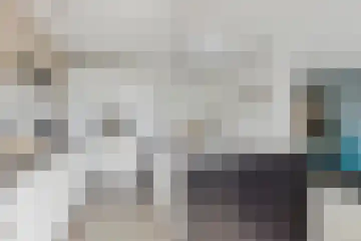 Ziepseweg 74 Didam thumbnail 8