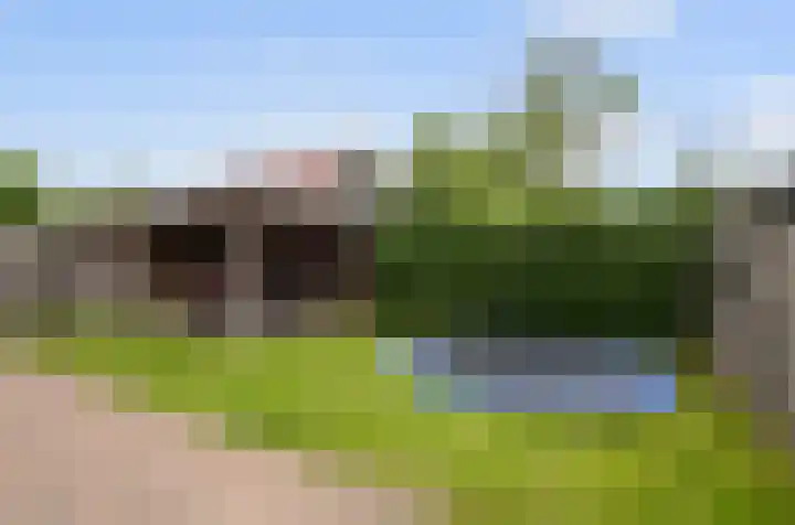 Ziggel 11 Wehl thumbnail 13