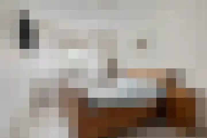 Ziggel 11 Wehl thumbnail 16