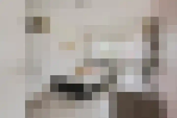 Ziggel 11 Wehl thumbnail 18