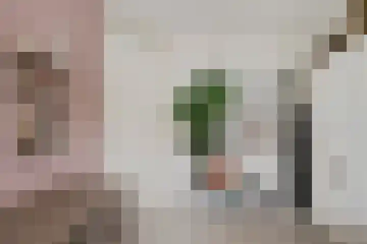Ziggel 11 Wehl thumbnail 19
