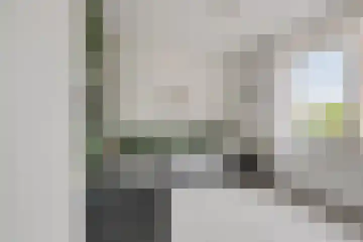 Ziggel 11 Wehl thumbnail 20