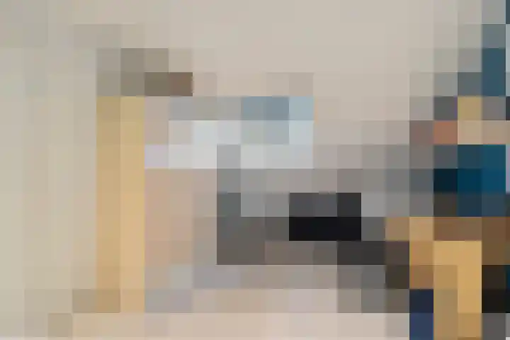 Ziggel 11 Wehl thumbnail 26