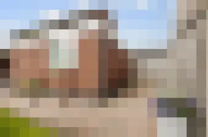 Ziggel 11 Wehl thumbnail 29