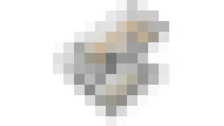 Ziggel 11 Wehl thumbnail 32