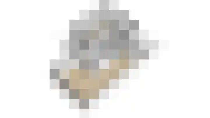 Ziggel 11 Wehl thumbnail 33
