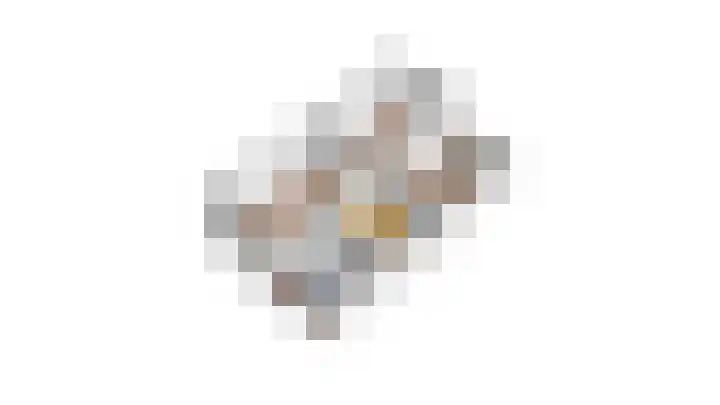 Ziggel 11 Wehl thumbnail 35