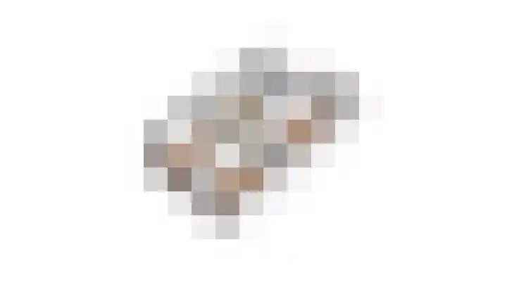 Ziggel 11 Wehl thumbnail 36
