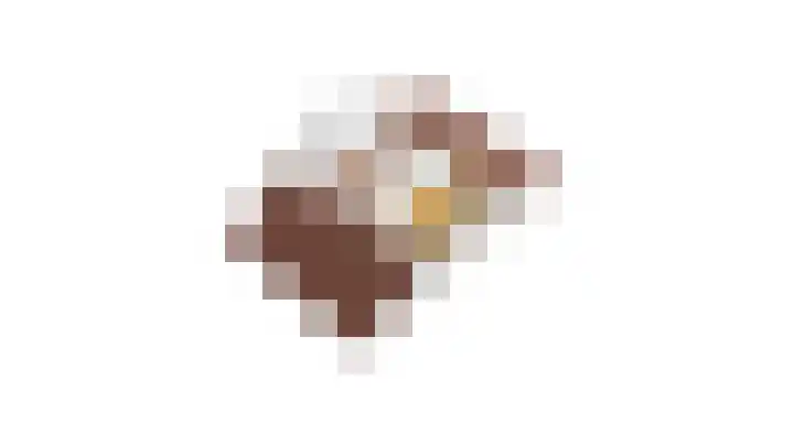 Ziggel 11 Wehl thumbnail 38