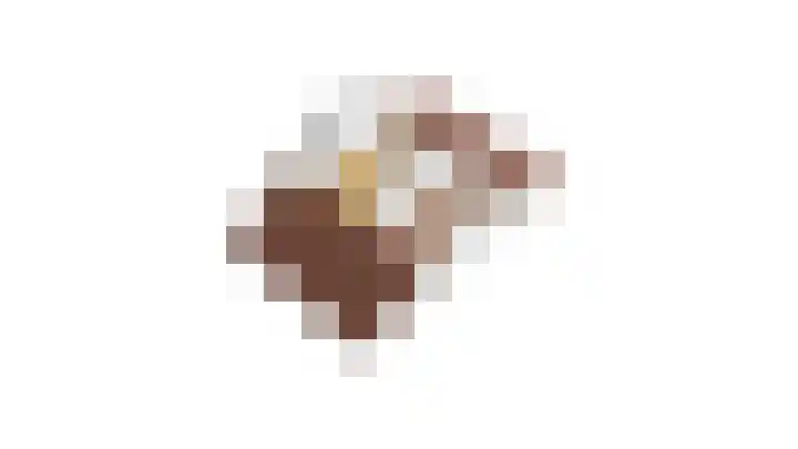 Ziggel 11 Wehl thumbnail 39