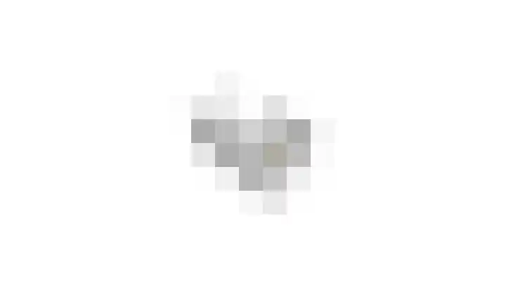 Ziggel 11 Wehl thumbnail 41