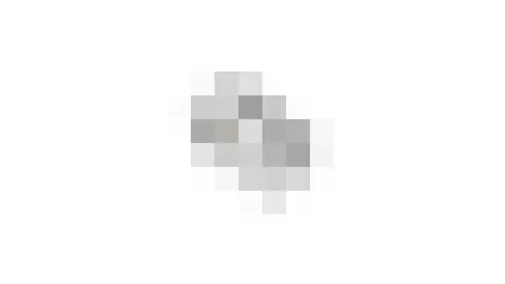 Ziggel 11 Wehl thumbnail 42