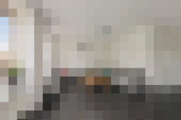 Ziggel 11 Wehl thumbnail 5