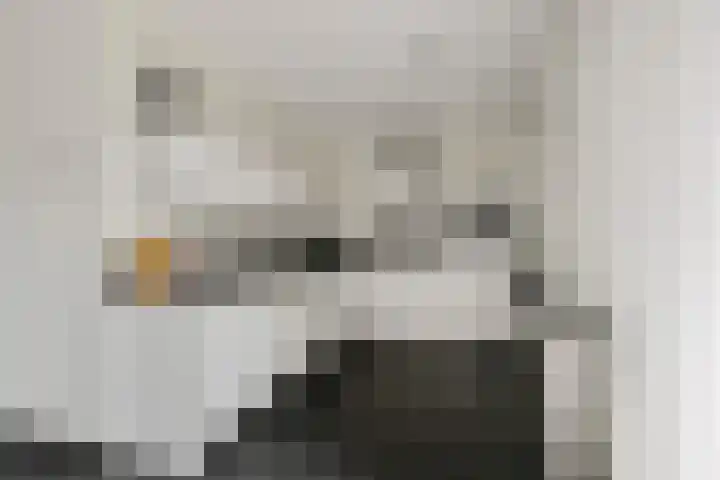Ziggel 11 Wehl thumbnail 8