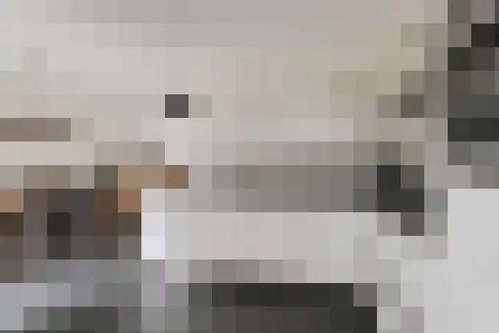 Ziggel 11 Wehl thumbnail 9