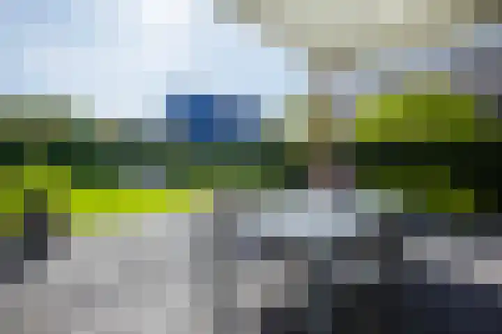 Ziggel 5 Wehl thumbnail 12